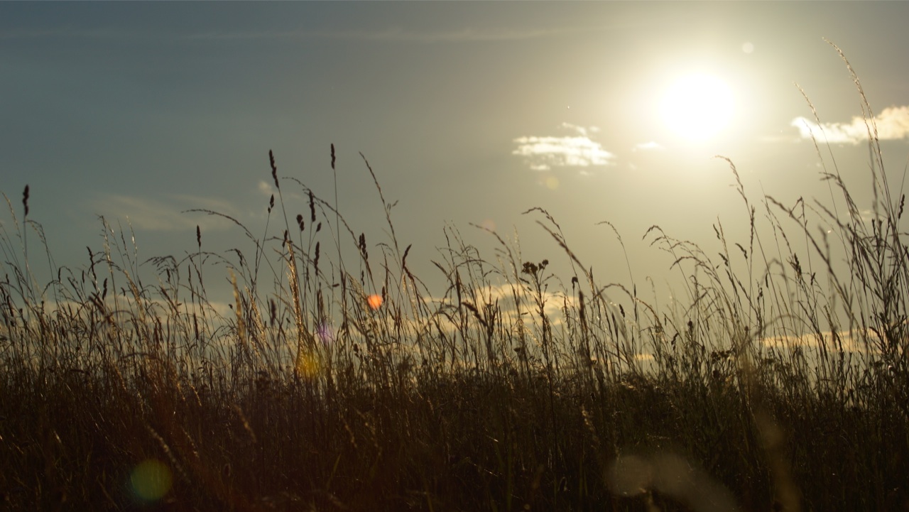 oil to natural gas conversion cooling summer