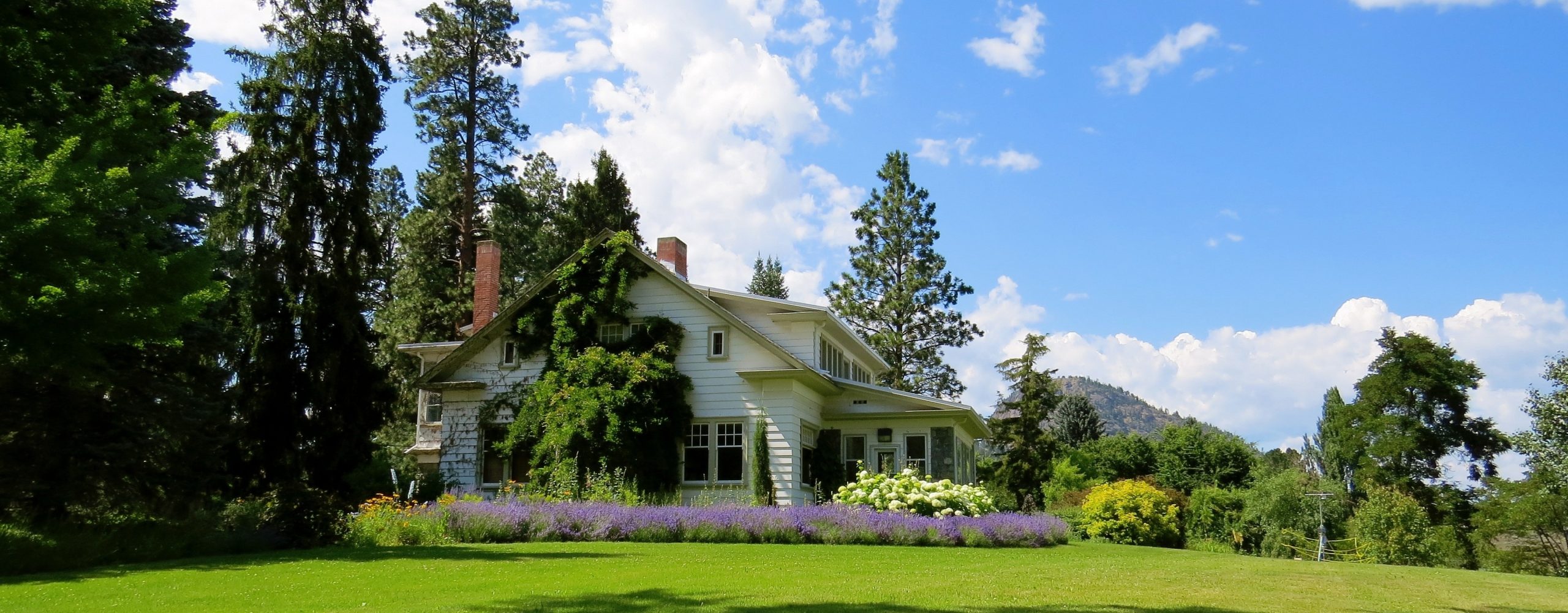 great cooling service in the summer great cooling service in the summer