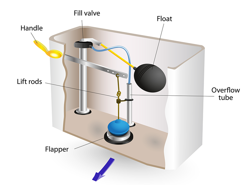 Different Parts of a Toilet