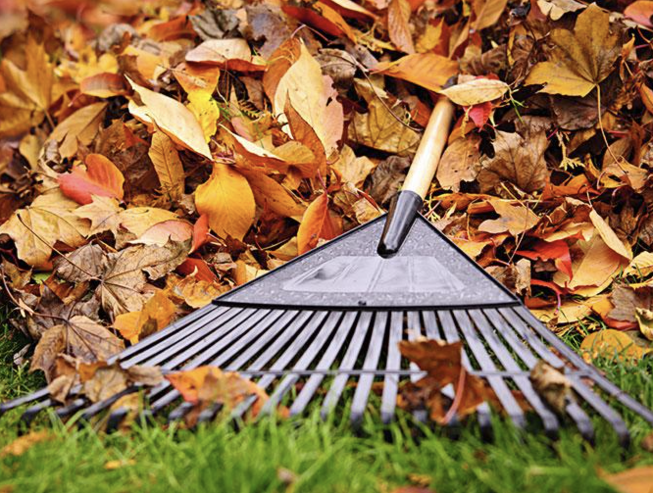 Screenshot 2024-10-03 at 8.09.44 PM