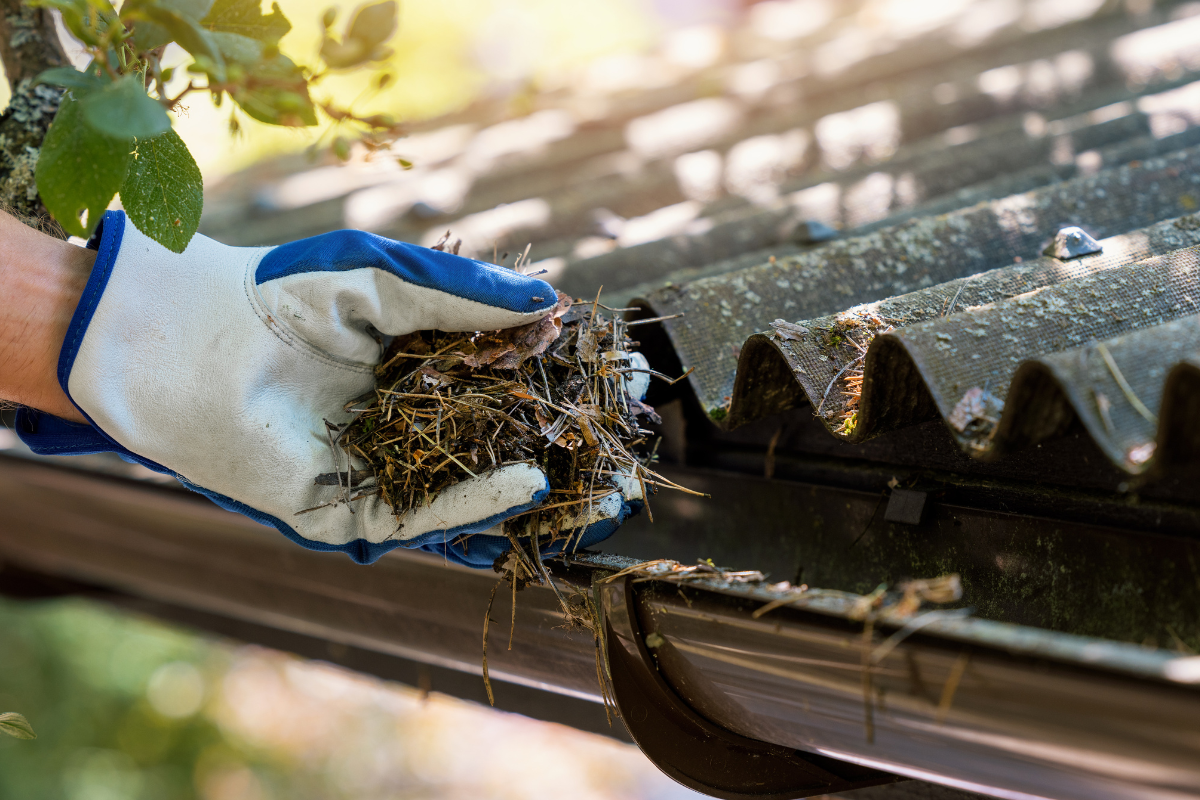 clean your gutters