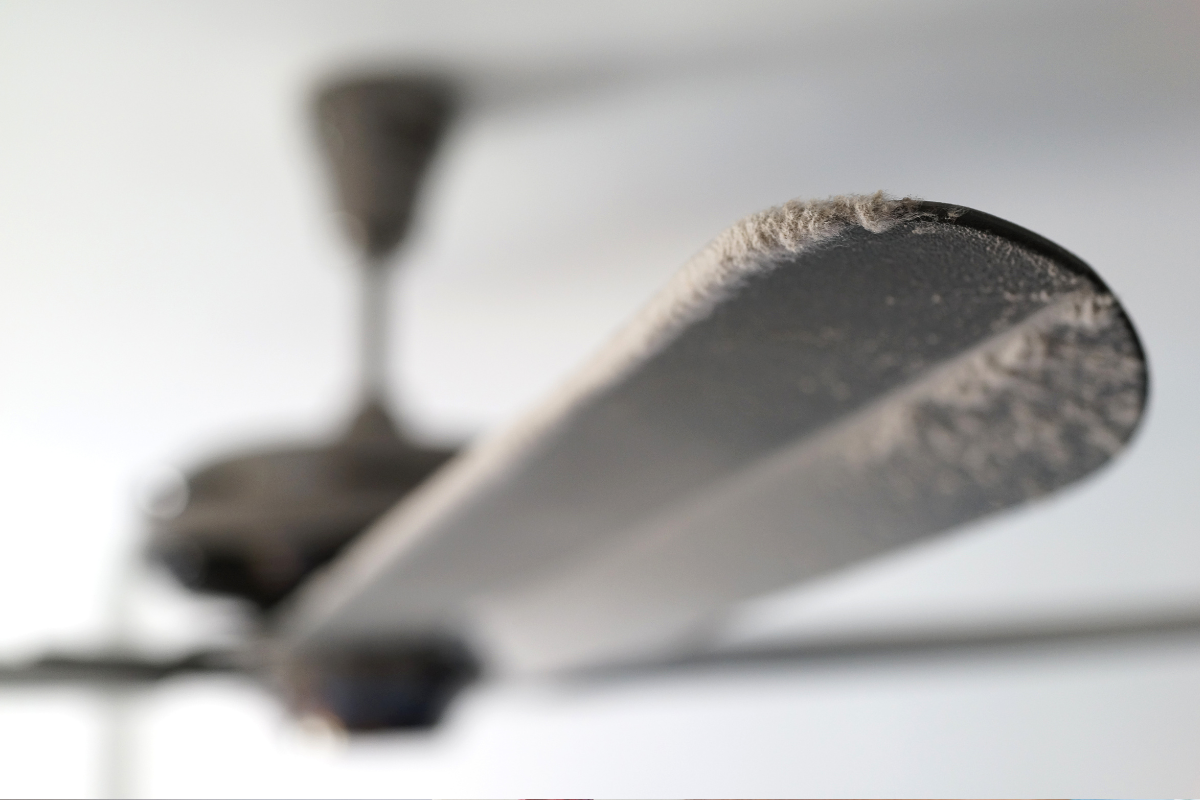 clean your ceiling fan